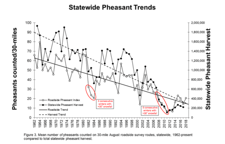 screenshot 2019-01-01 20.12.09