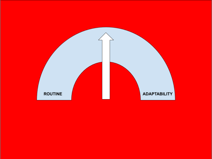 ROUTINE ADAPTABILITY